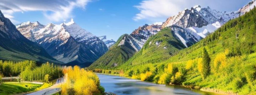 婺源信息港有限公司轮播图3